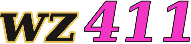 wz411 logo